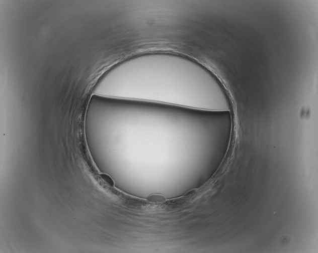 X0000113110105200908281027