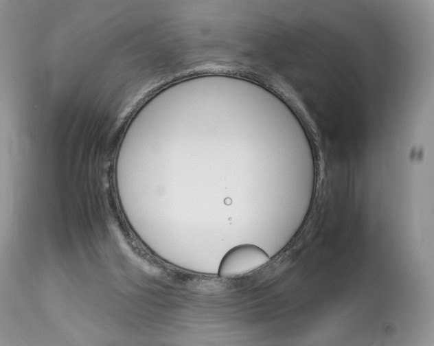 X0000113110106200908281027