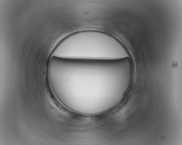 X0000113110107200908281027