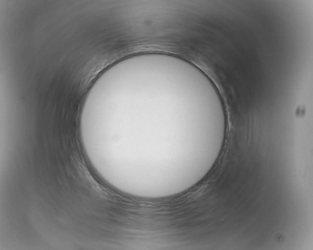 X0000113110109200908281027
