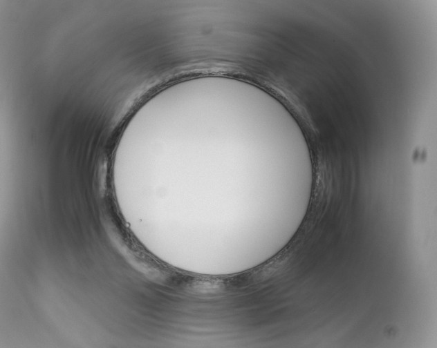 X0000113110110200908281027