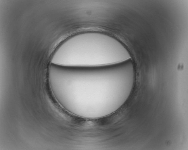 X0000113110111200908281027