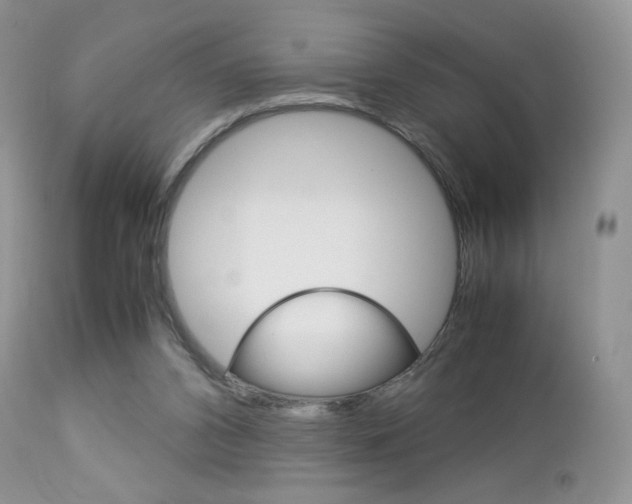 X0000113110112200908281027