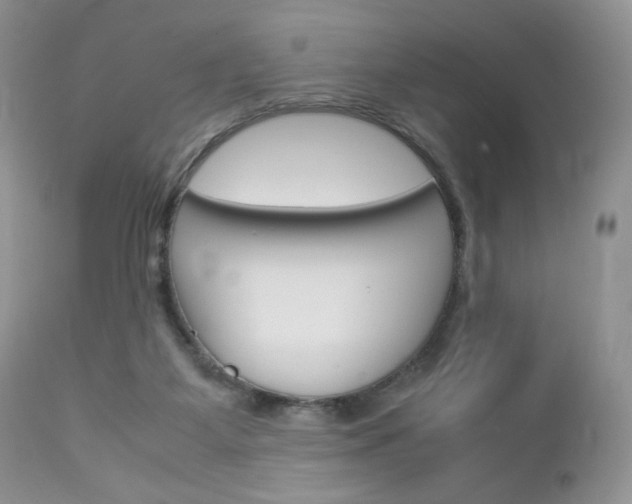 X0000113110115200908281027