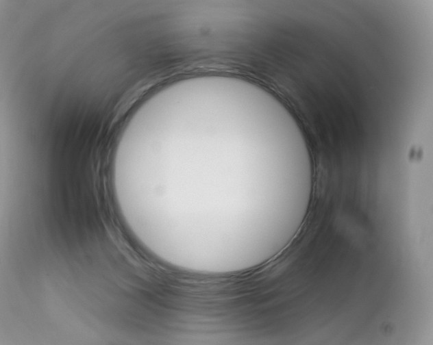 X0000113110116200908281027