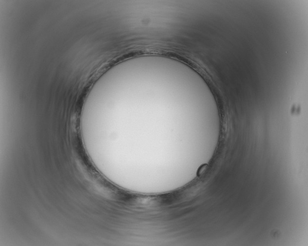 X0000113110117200908281027