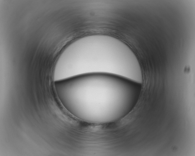 X0000113110120200908281027