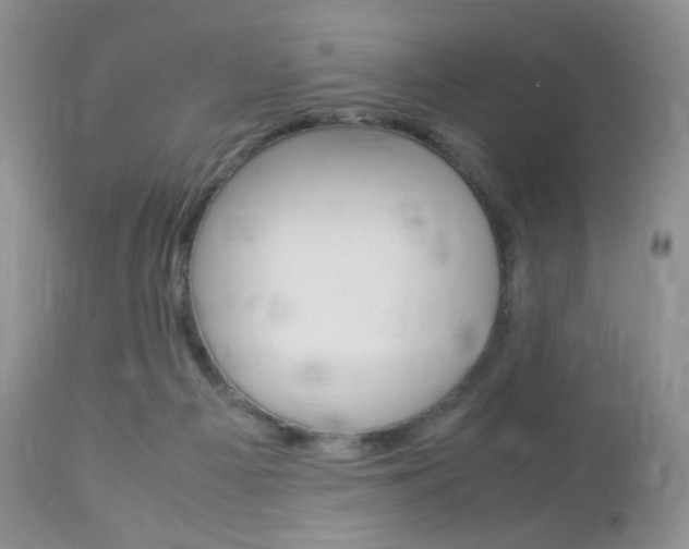 X0000113110121200908281027