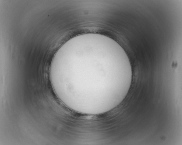 X0000113110122200908281027
