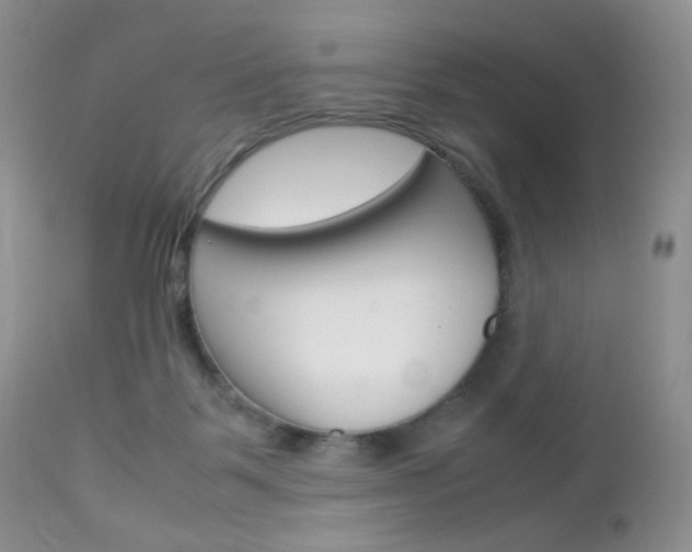 X0000113110123200908281027