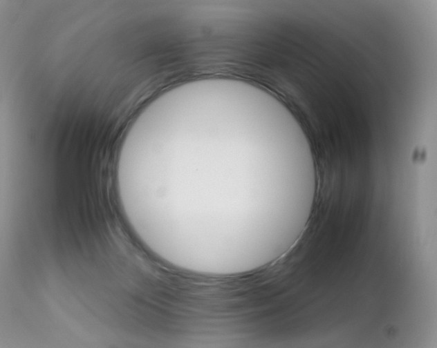 X0000113110124200908281027