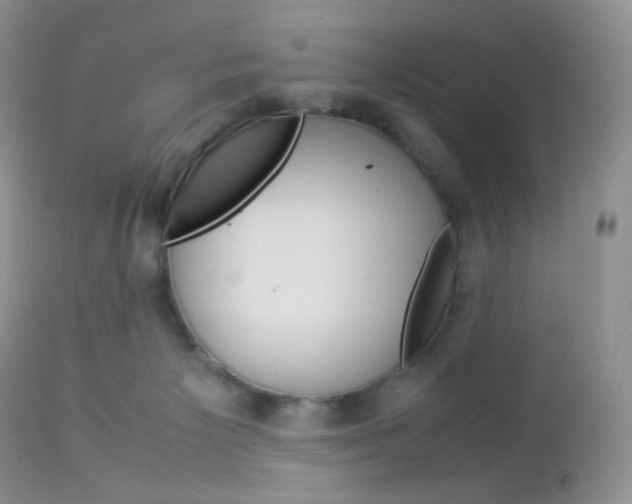 X0000113110125200908281026