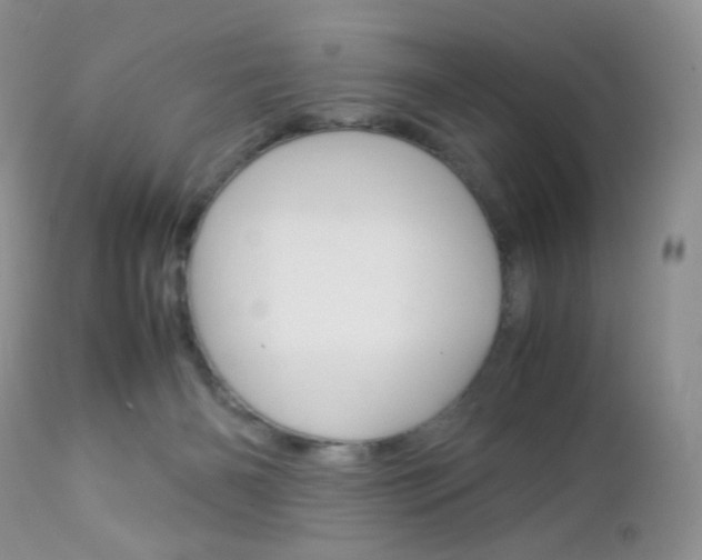 X0000113110126200908281026
