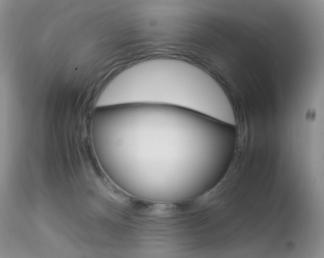 X0000113110128200908281026