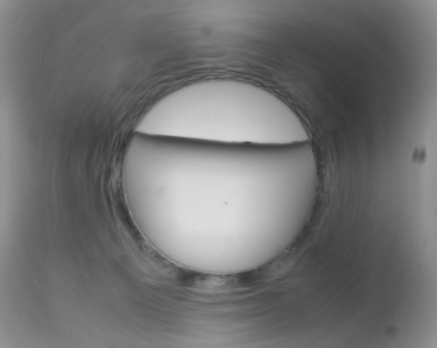 X0000113110129200908281026