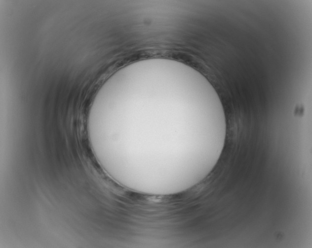 X0000113110130200908281026