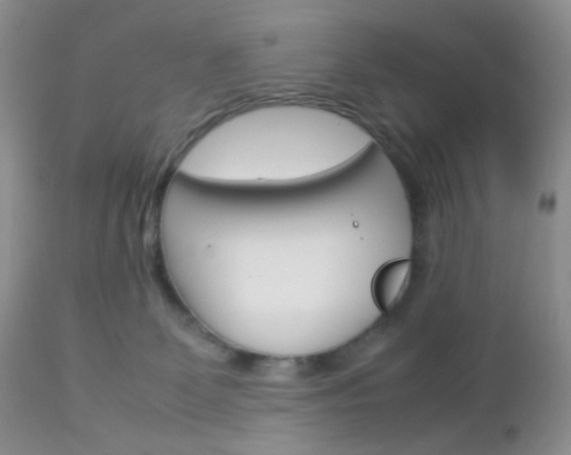 X0000113110131200908281026