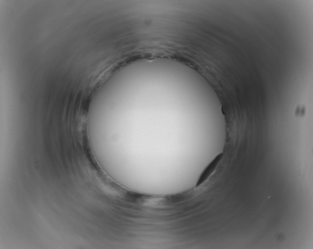 X0000113110132200908281026