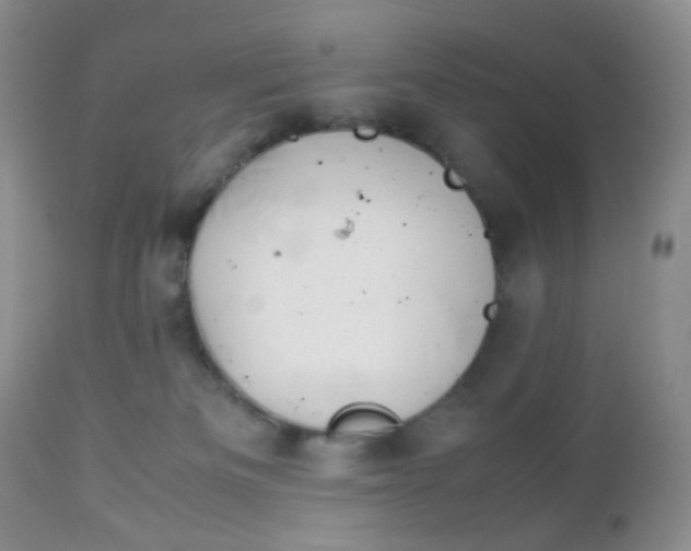 X0000113110133200908281026