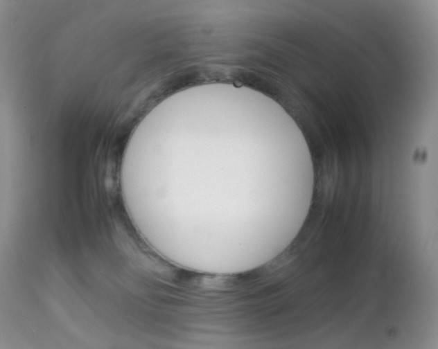 X0000113110134200908281026