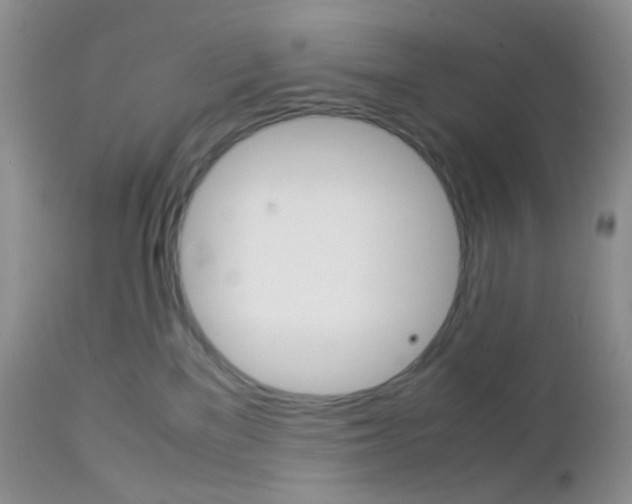 X0000113110137200908281026
