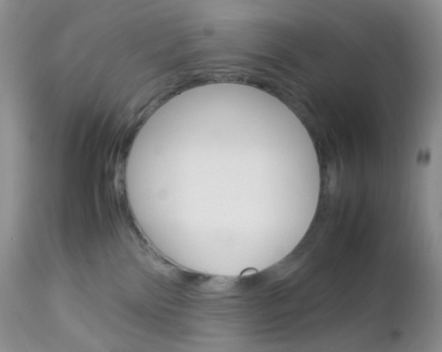 X0000113110138200908281026