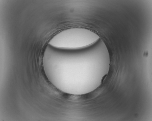 X0000113110139200908281026