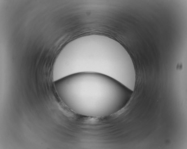 X0000113110140200908281026