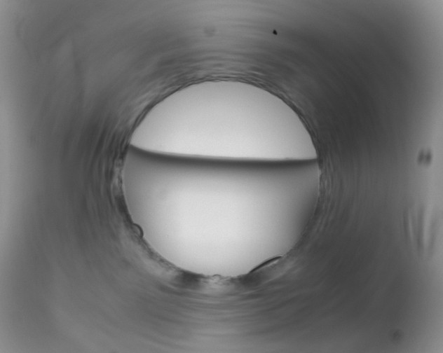 X0000113110141200908281026