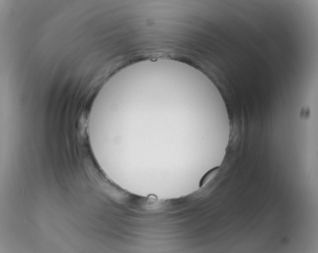 X0000113110142200908281026