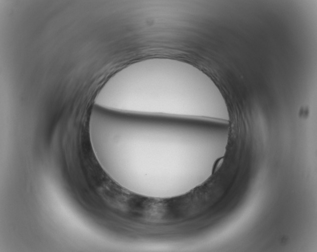 X0000113110143200908281026