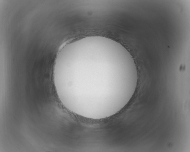 X0000113110144200908281026
