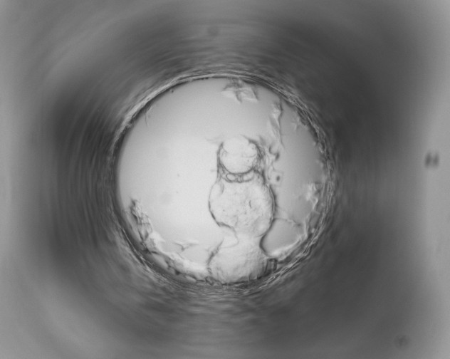 X0000113110146200908281026