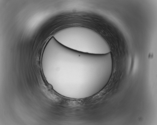 X0000113110147200908281026