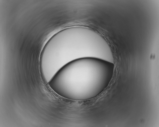 X0000113110148200908281026