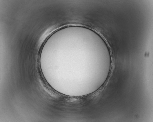X0000113110151200908281026