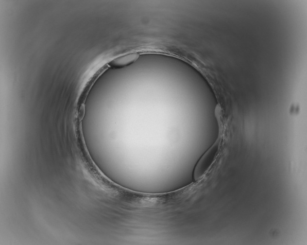 X0000113110152200908281026