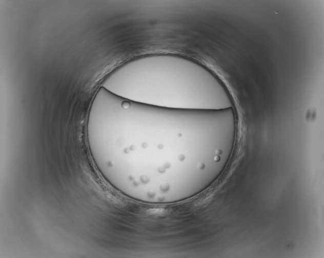 X0000113110153200908281026