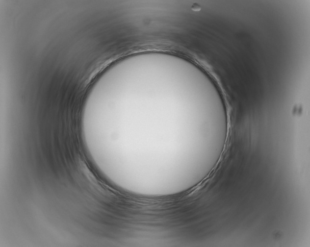 X0000113110154200908281026