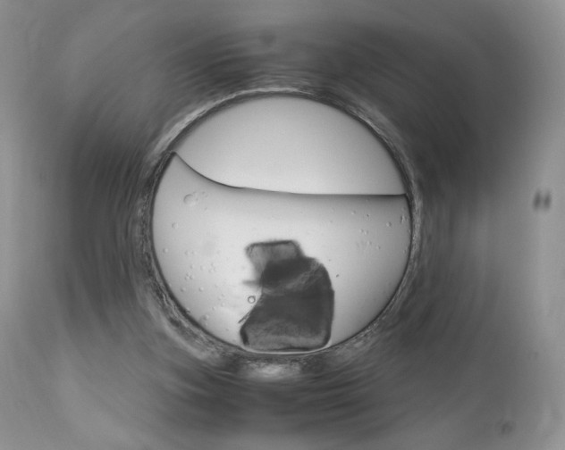 X0000113110155200908281026