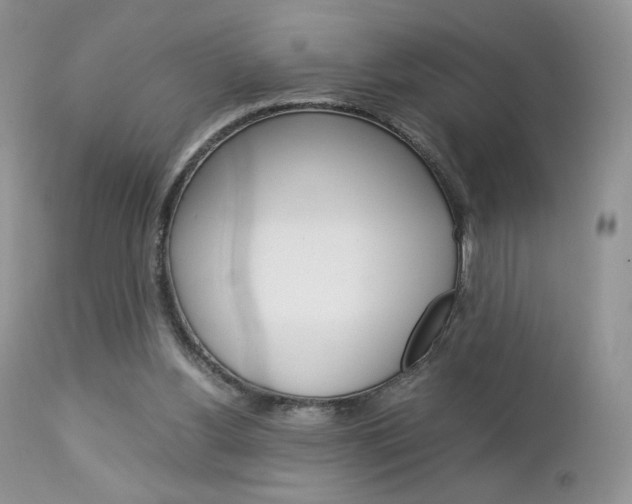 X0000113110156200908281026