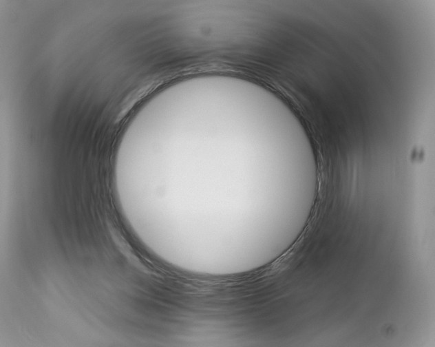 X0000113110158200908281026