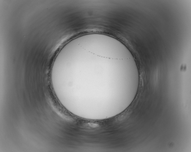 X0000113110159200908281026