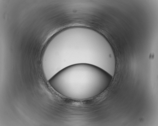 X0000113110160200908281026