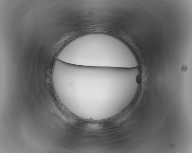 X0000113110161200908281026