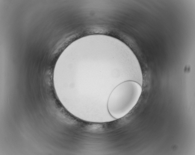 X0000113110162200908281026