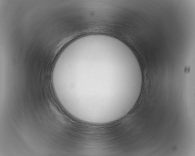 X0000113110164200908281026