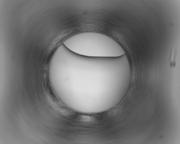 X0000113110167200908281026