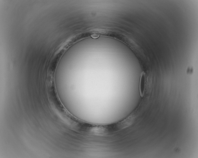 X0000113110168200908281026