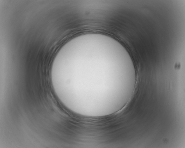 X0000113110170200908281026